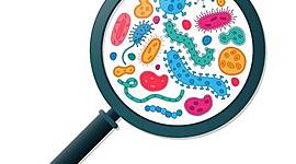 Timeline: HISTORIA DE LA MICROBIOLOGÍA