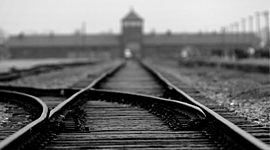 Timeline: Auschwitz_Brian Kim
