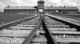 Timeline: Auschwitz_Chetan Kuntumalla