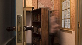 Timeline: The Diary of A Young Girl_Tuongvan Ho