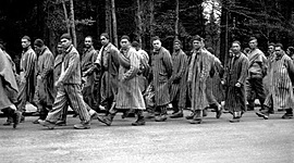 Timeline: Night_Omid Panah