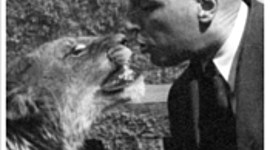 Timeline: The Zookeeper's Wife_Derek Maeshiro