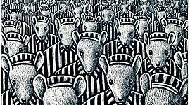 Timeline: Maus Ian Dinh timeline