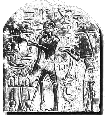 Enfermedades de etiología microbiana