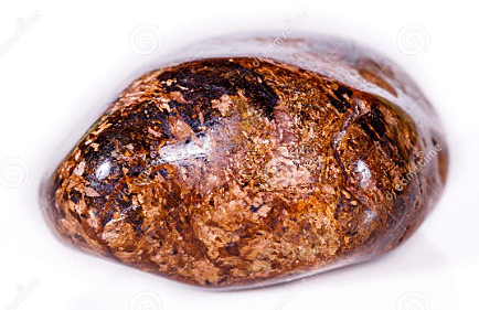 Aseguramiento de la calidad (Occidente)