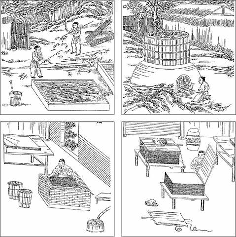 Gli arabi portano il segreto della carta in occidente.