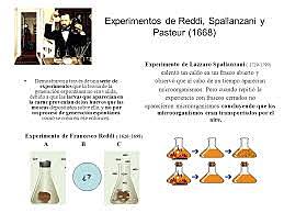 Demostración de postulado de la teoría celular