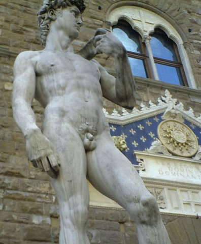 The Statue of David