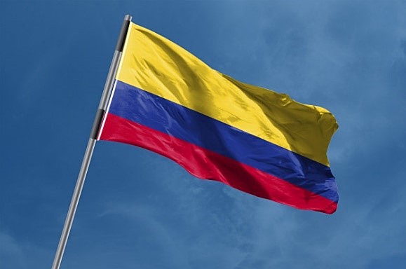 Definición de RED. Contexto colombiano