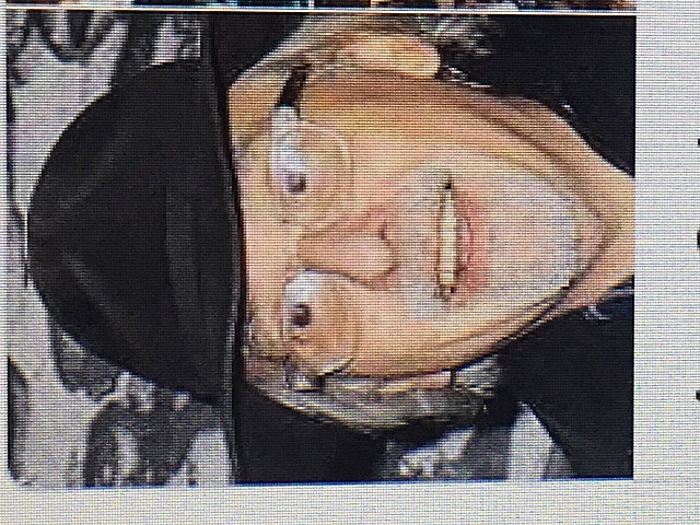 Art Spiegelman is born - Character development