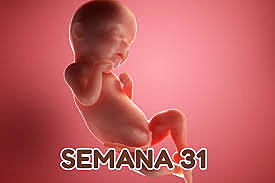 Semana 31