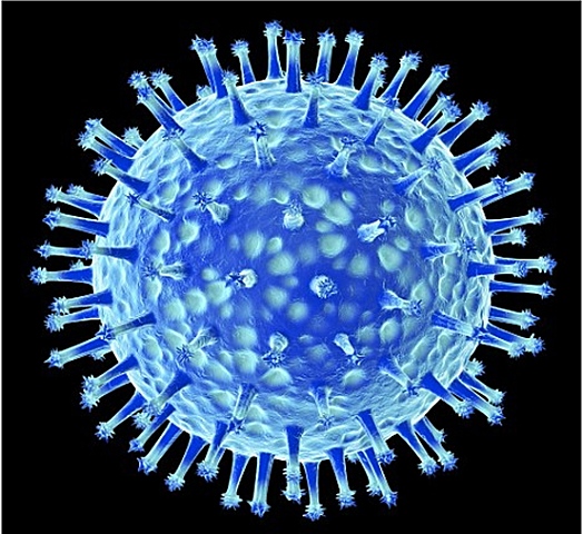 H5N1. Werner Schäfer.