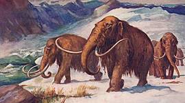 Timeline: Els periodes de la história