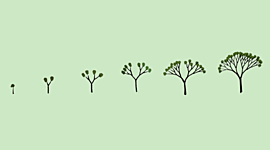 Timeline: Mis cambios