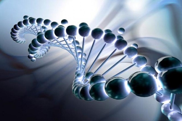 Creación de genoma artificial a partir de una bacteria