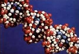 Avances en la profilaxis del SIDA