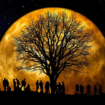 Timeline: Correlacionando los humanismos