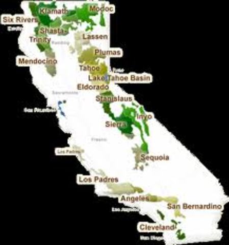 first year in california