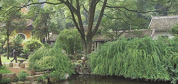 Universidad de China Yuelu