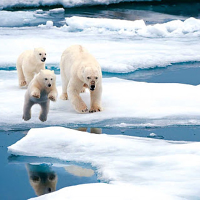 Timeline: Арктическая экспедиция