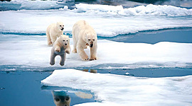 Timeline: Арктическая экспедиция