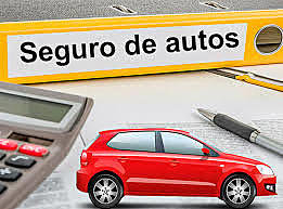Licencia Seguro