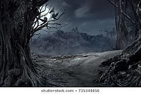 Al dissabte no dessenterrán la càpsula.