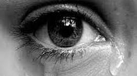 Timeline: Child of the Holocaust_Jessica Li