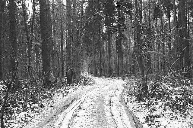 The Greeting of Jan Jarzobek