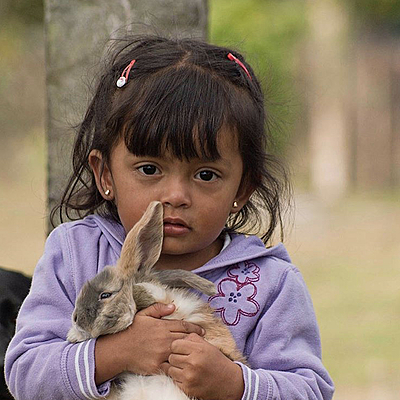 Timeline: Paulina Quiroga