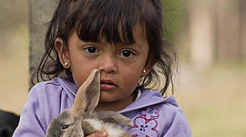 Timeline: Paulina Quiroga