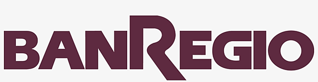 INSTITUCIONES QUE SURGIERON