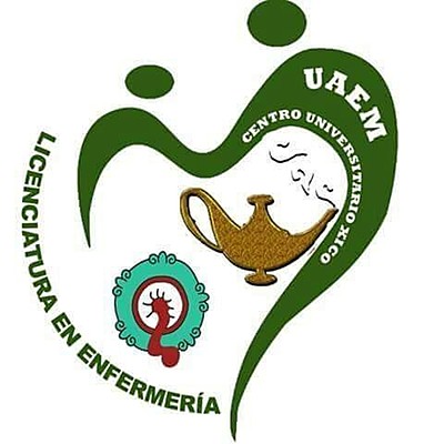 Timeline: Procesos de enfermeria