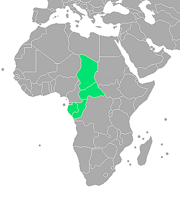 French Equatorial Africa was founded