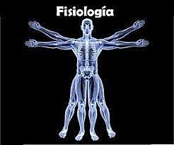 fisiología XVI