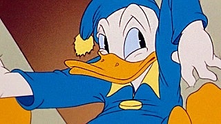 Donald duck