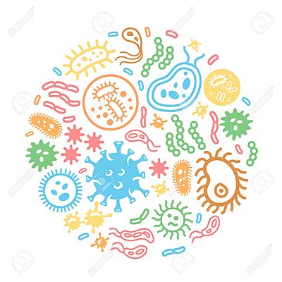 Timeline: Linea de tiempo Microbiología