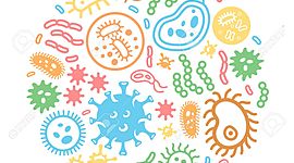 Timeline: Linea de tiempo Microbiología