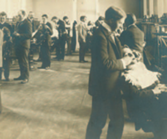 German Health insurance