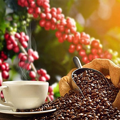 Timeline: EL CAFÉ EN COLOMBIA Y EL MUNDO