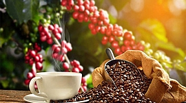 Timeline: EL CAFÉ EN COLOMBIA Y EL MUNDO