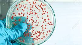 Timeline: EVENTOS MAS IMPORTANTES DE LA MICROBIOLOGÍA