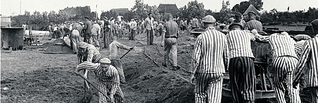 Working at Auschwitz