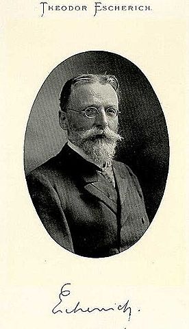 THEODOR ESCHERICH