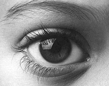 La revolución darwiniana.