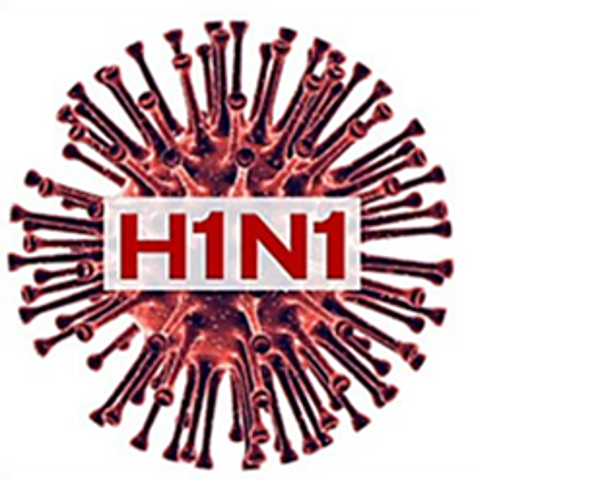 PANDEMIA DE GRIPE A (H1N1)