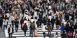 Joyceen Boyle (1994).