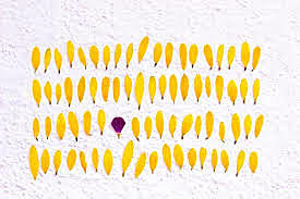 Raymond Bernard Cattell