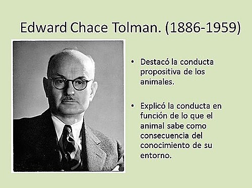 Teoría de la personalidad de Edward C. Tolman
