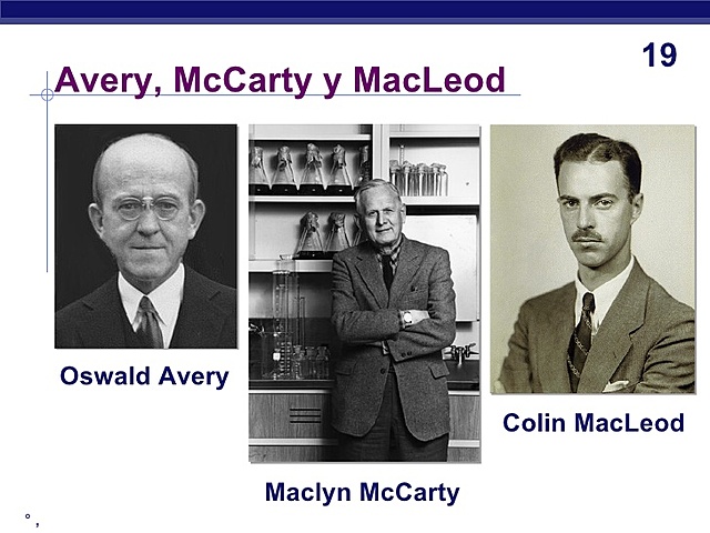 McLead, McCartry y Awery